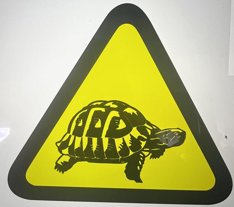 turtle panel