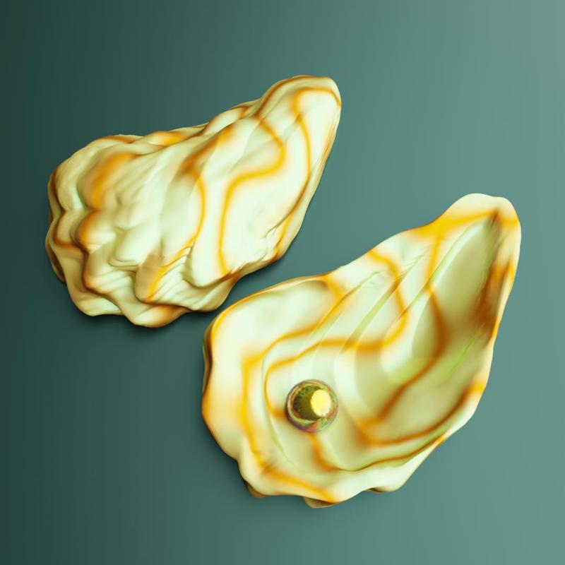 oyster shell volume3️⃣ 🎉 3D print model 🎉