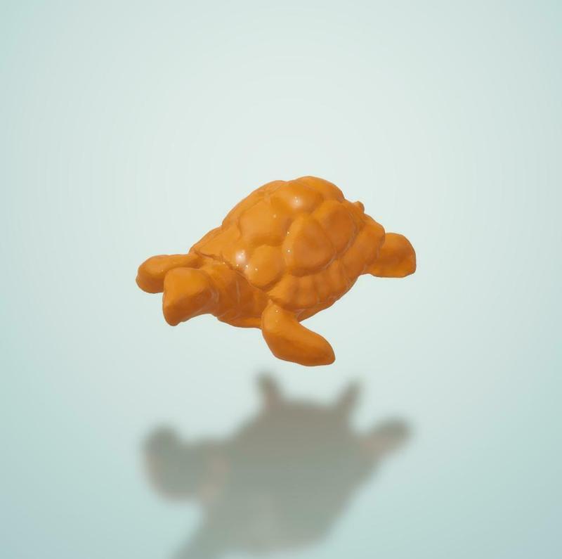Little turtle Lili 🐢