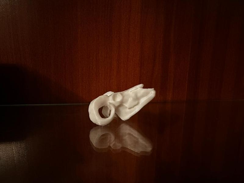 Ethereal Ram Skull