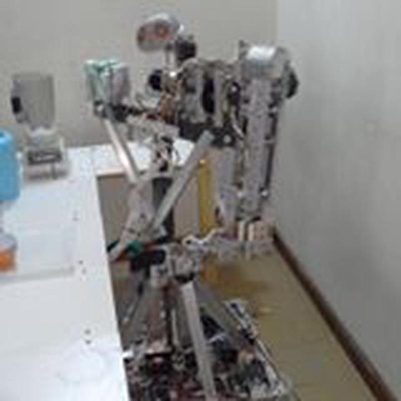 Servant Robot