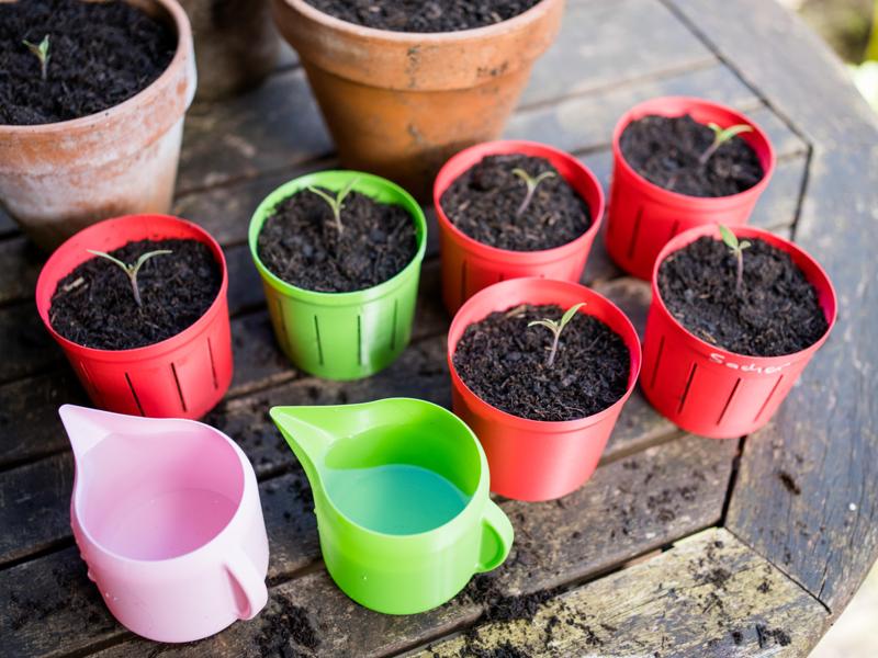 Simple, Fast and minimalistic Plant Pot for your young plants! (Vasemode ready)