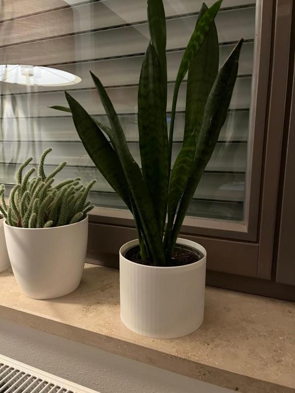 Simple Pot 