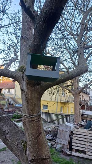 Krmítko pro ptáky - Bird feeder
