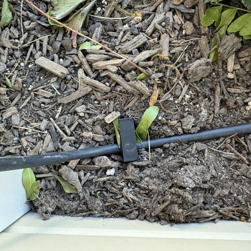 Drip Tube Irrigation Stakes