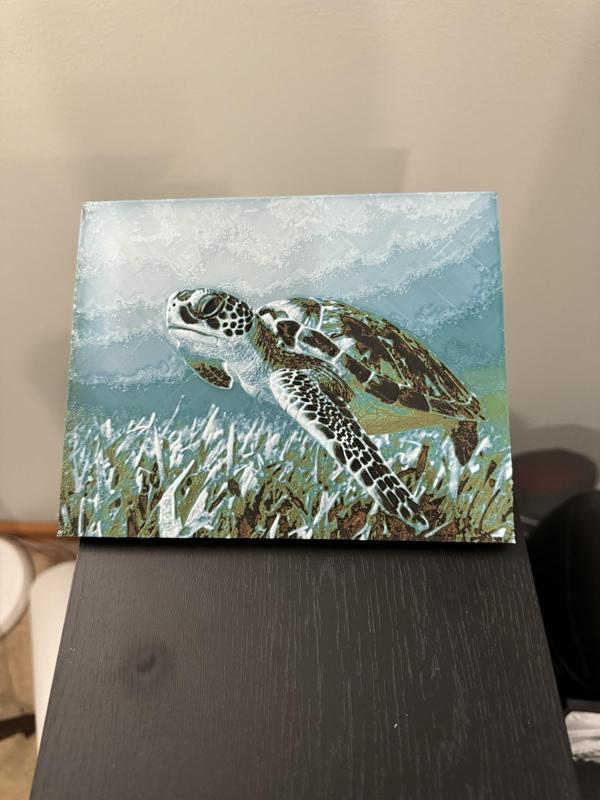 Hueforge sea turtle 8 color