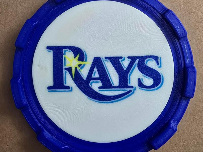 COASTER MASTER INSERT - TAMPA BAY RAYS