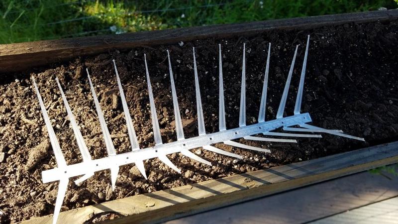Bird Deterrent for seedlings v3