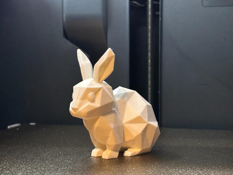 Polygon Hase