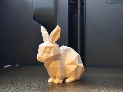 Polygon Hase