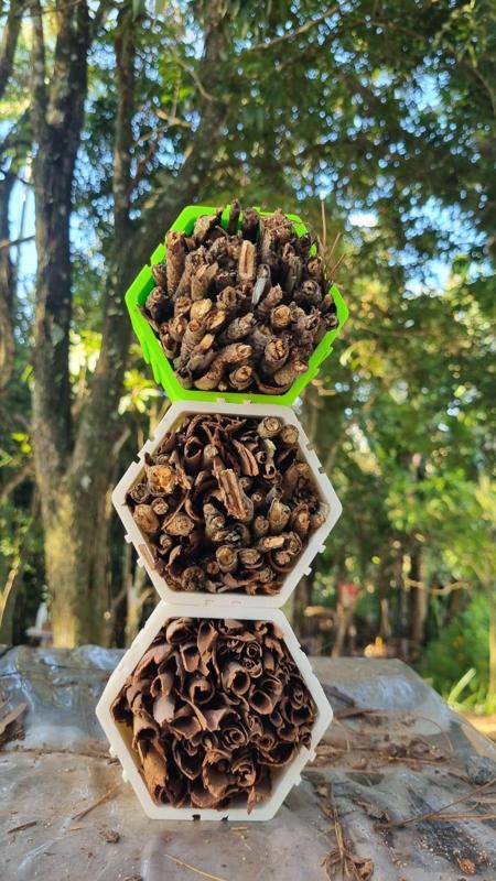 honeycomb-shaped insect hotel