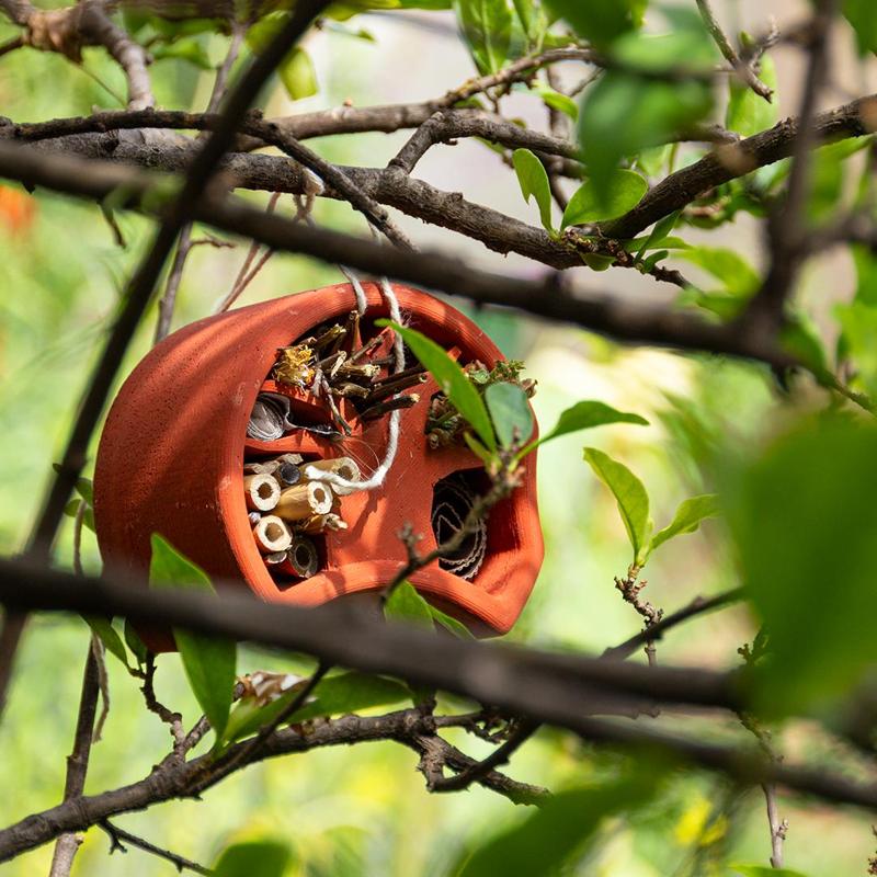 The Baobug Bug Hotel