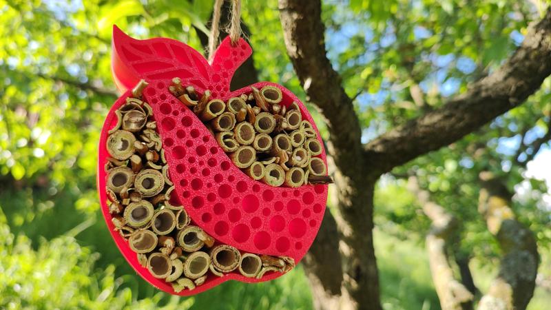 Apple insect hotel