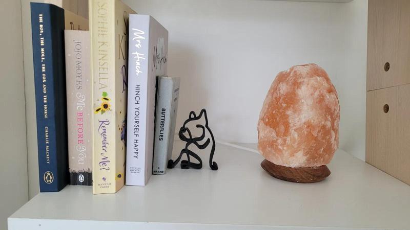 Lightweight Minimalist Frenchie Bookend | Line Art Frenchie Bookend