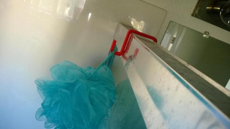 Luffa Shower Hook