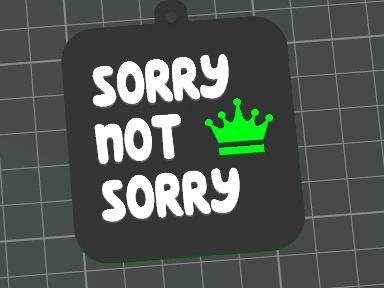 Six Keyring - Sorry Not Sorry Protruding Letters