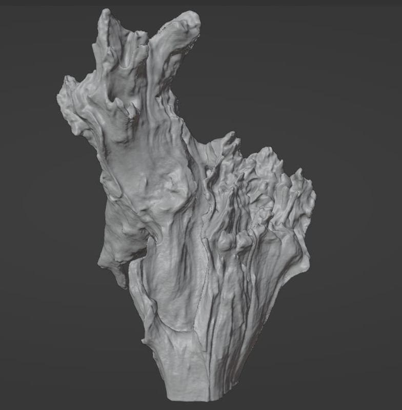 Driftwood 3d scan
