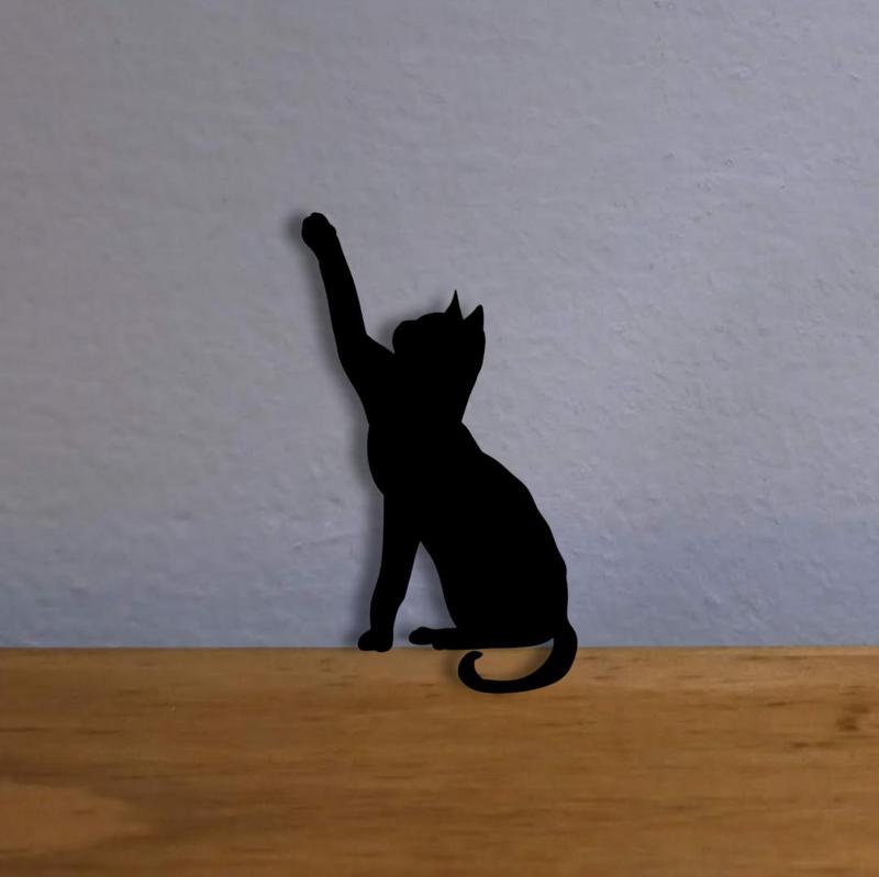 Cat 1