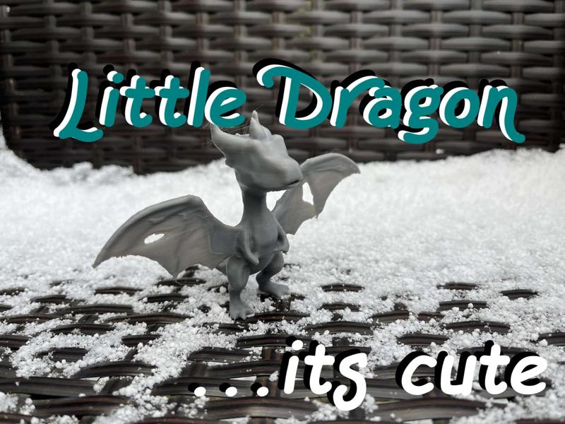 Cute little dragon