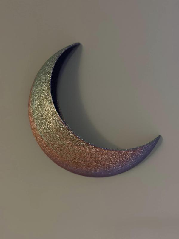 Crescent Moon Wall Planter