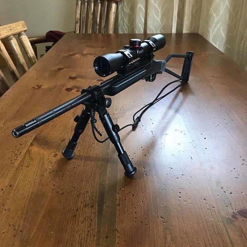 Chiappa Little Badger Forestock