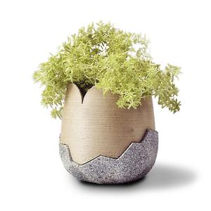 Umori Pot One