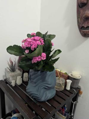 Twisted Fabric Vase - Perfect for Halloween!