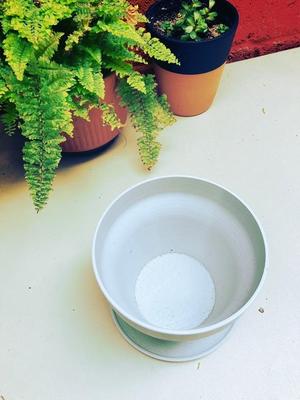 Simple Planter with Integrated Cup