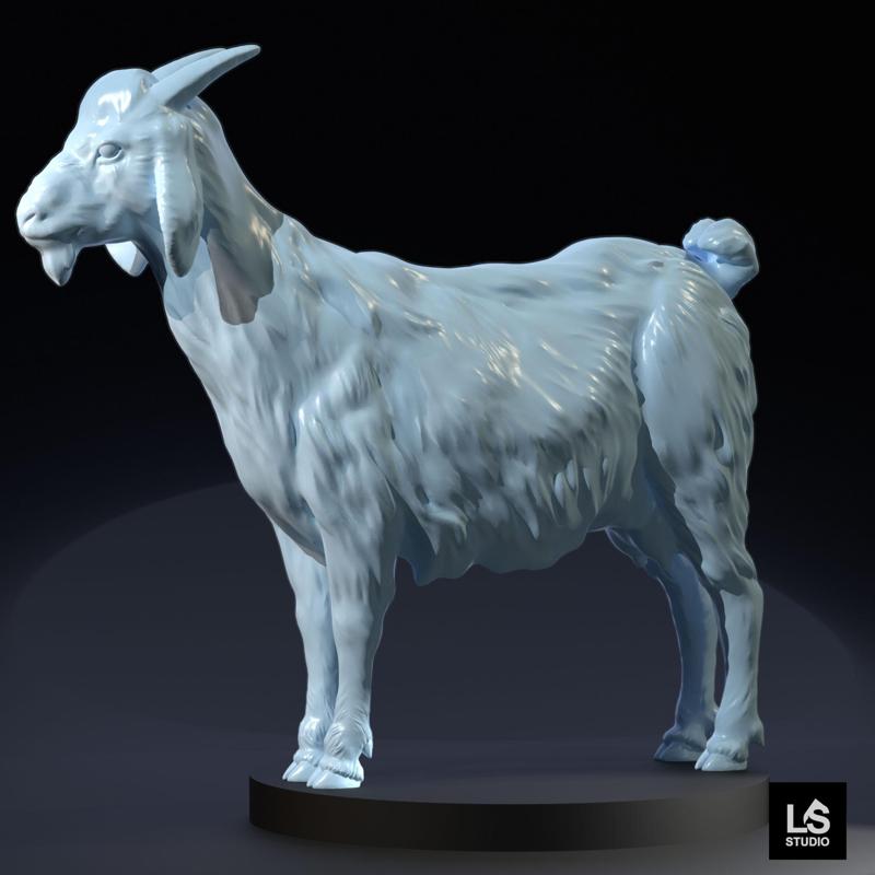 goat