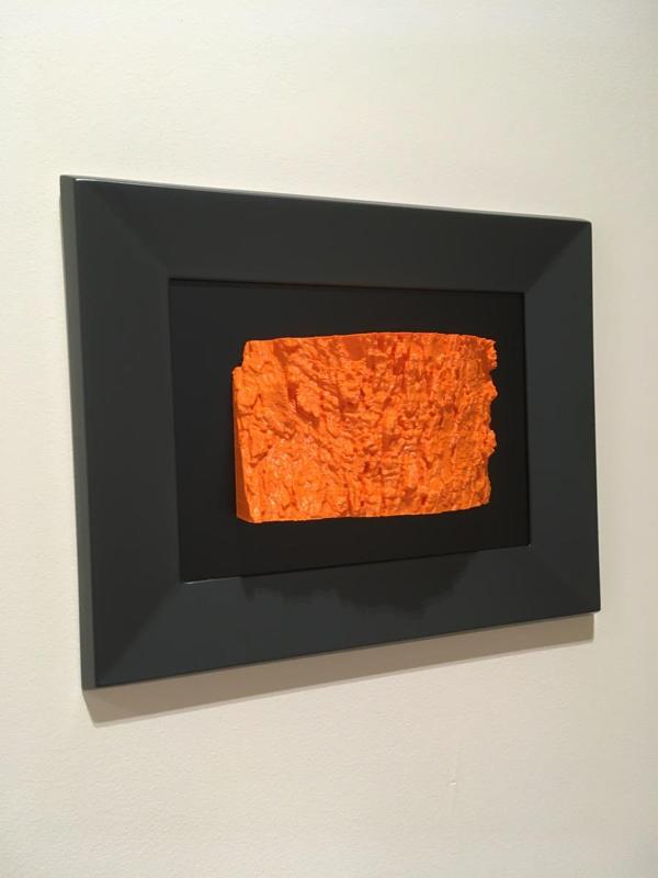 Sagarmina/ Crabapple / Pomera / Malus sylvestris