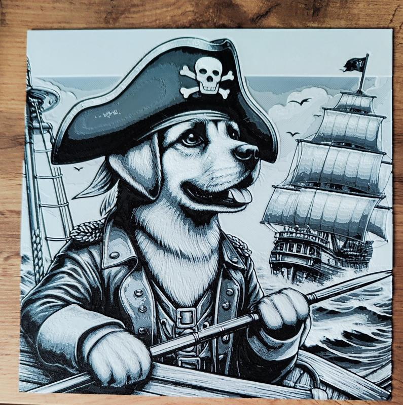 Dog pirate
