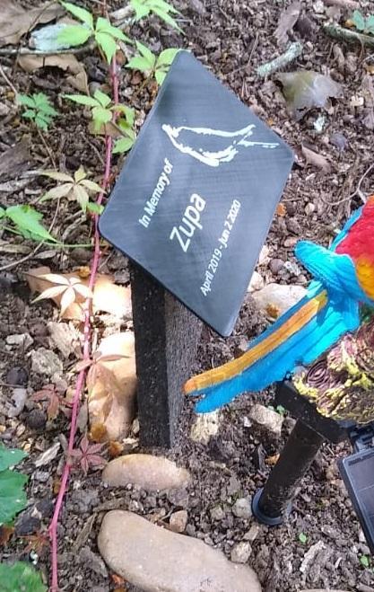 Cockatiel Bird Memorial Stone Grave Marker