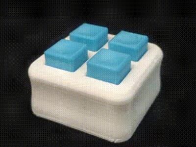 Quad Toggle Fidget Toy