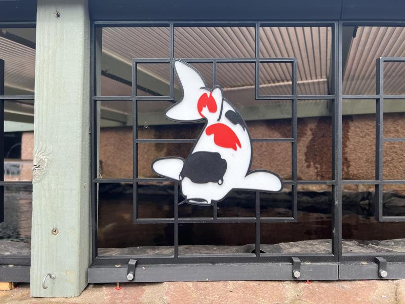 Koi themed decorative panels