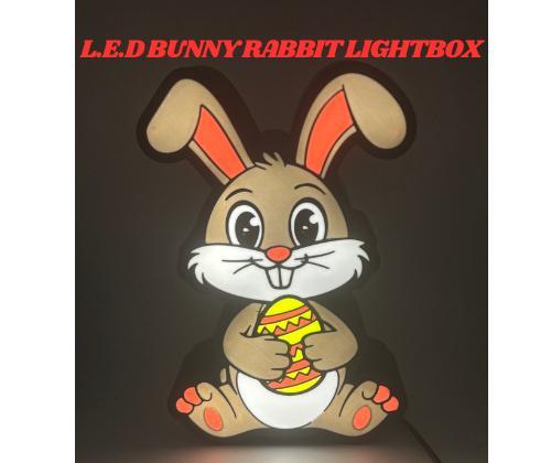 Cute Easter Bunny Lightbox