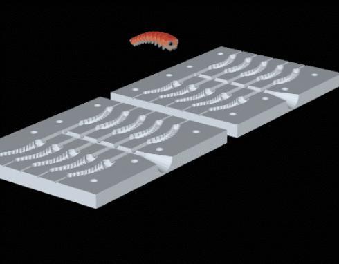 Maggot / worm fishing mold / form
