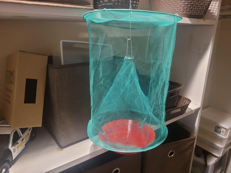 Fly trap fly catcher replacement tray