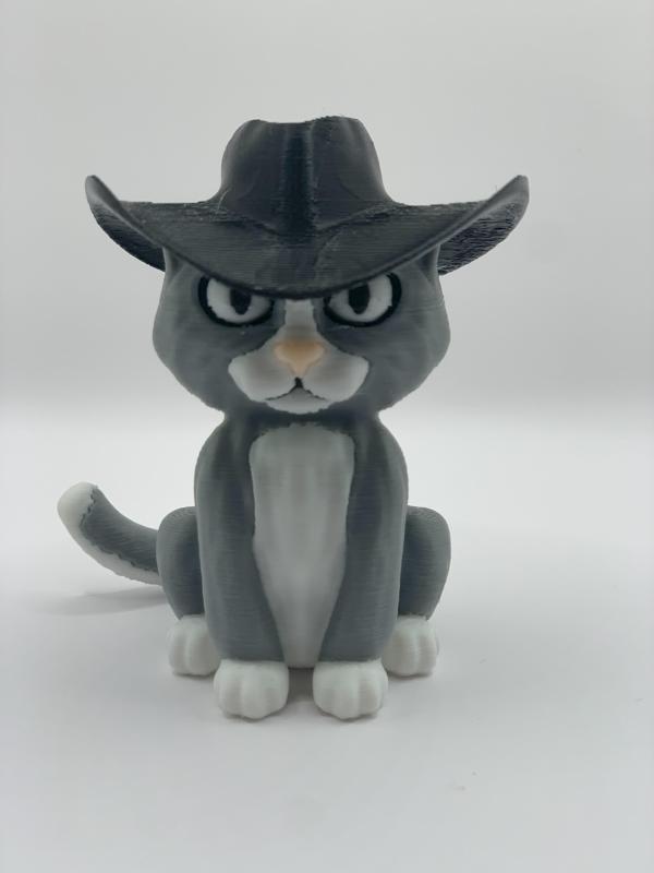 A cat with a hat