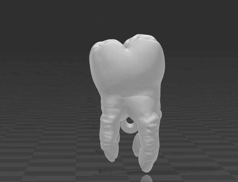 Chaveiro Dente Molar (Molar Tooth Keychain)