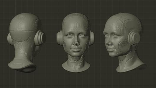 Robotic Face