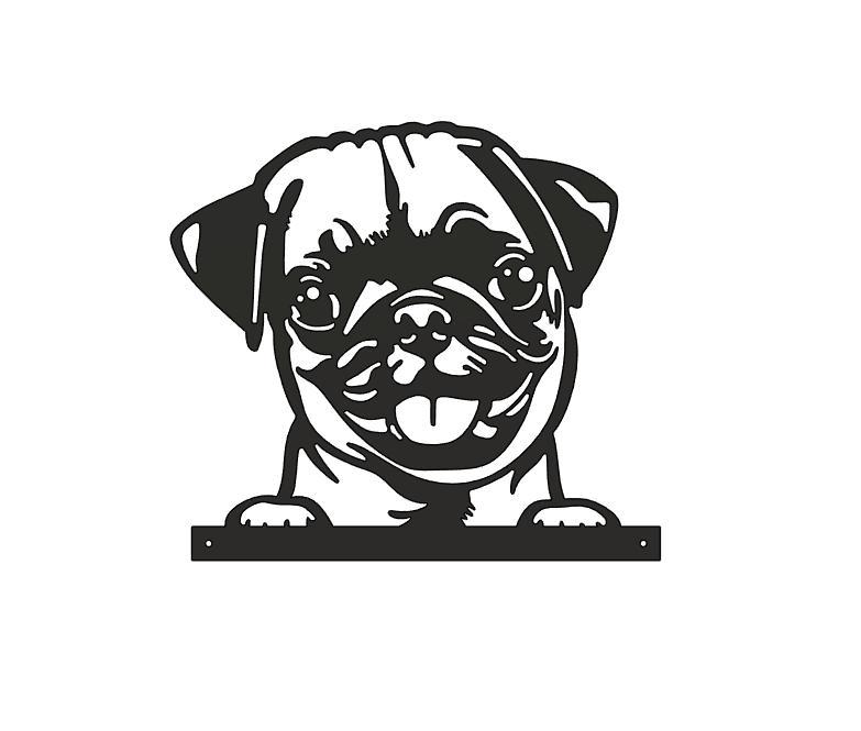 Pug-Mops Dog