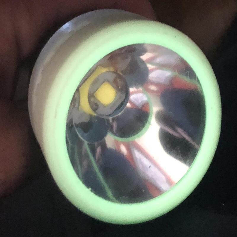 4300 lumen 2D mag-lite