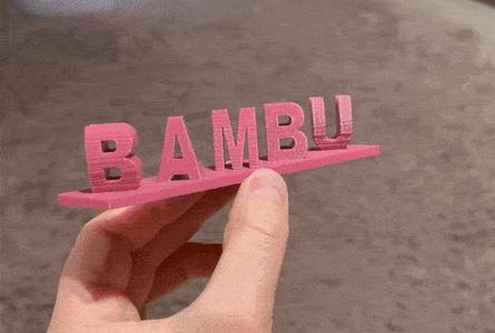 BAMBU LAB DOUBLE TEXT ILLUSION STAND / FAN-ART