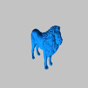 A Male Lion