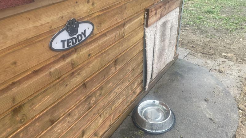TEDDY dog sign