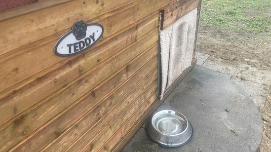 TEDDY dog sign