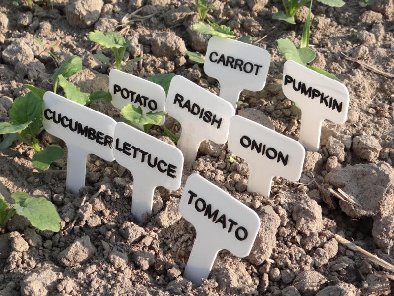 Vegetables signs/labels