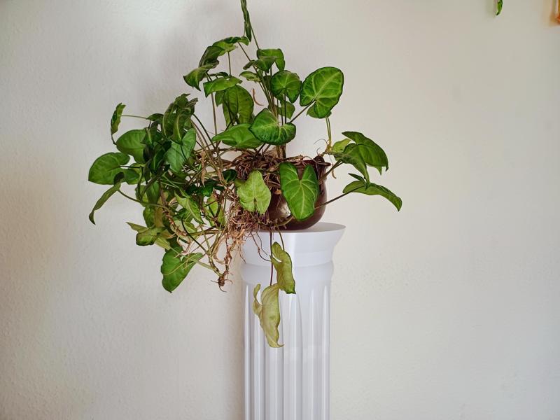 Infinite Vase Column