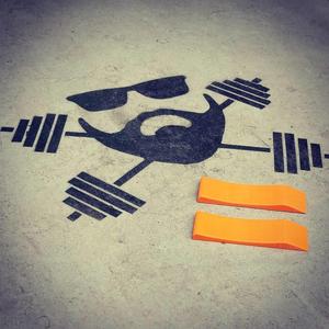Barbell Wedge Small