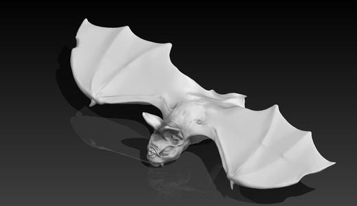 MURCIÉLAGO